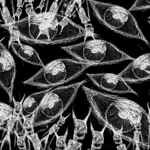 Meet your Posher, Milton